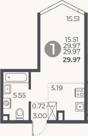 Планировка: Студия, 30 м²