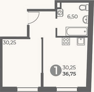 Планировка: Студия, 36,8 м²