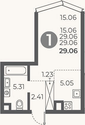 Планировка: Студия, 29,1 м²
