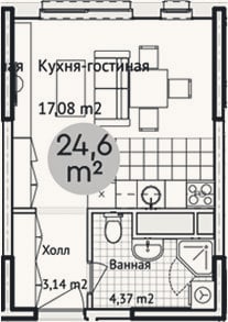 Планировка: Студия, 24,6 м²