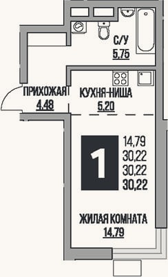 Планировка: Студия, 30,2 м²