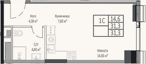 Планировка: Студия, 31,3 м²