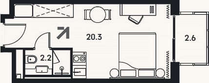Планировка: Студия, 22,5 м²