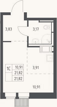 Планировка: Студия, 21,8 м²