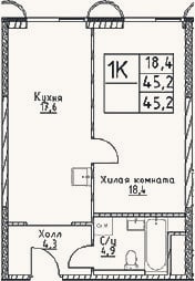 Планировка: 1-к, 45,2 м²