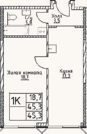 Планировка: 1-к, 45,3 м²