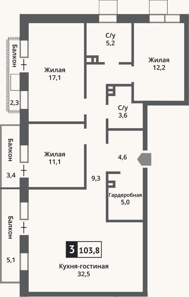 Планировка: 4+ к, 100,6 м²