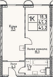 Планировка: 1-к, 45,2 м²