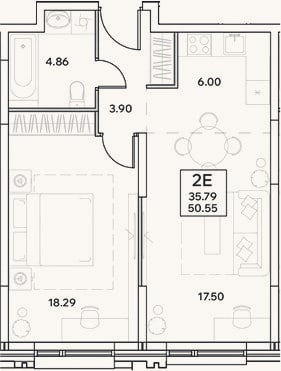 Планировка: 2-к, 50,6 м²