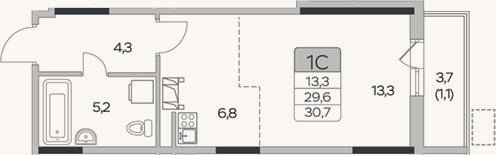 Планировка: Студия, 29,6 м²