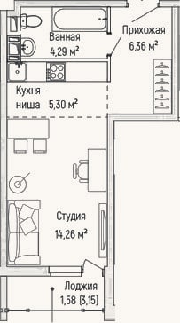 Планировка: Студия, 30,2 м²