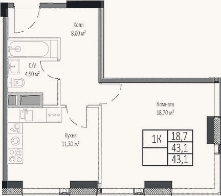 Планировка: 1-к, 43,1 м²