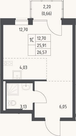 Планировка: Студия, 25,9 м²