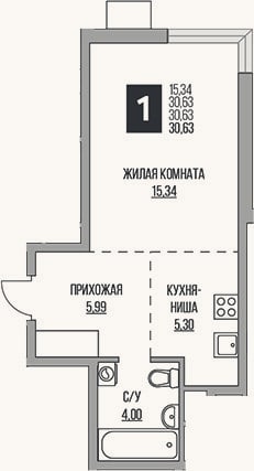 Планировка: Студия, 30,6 м²