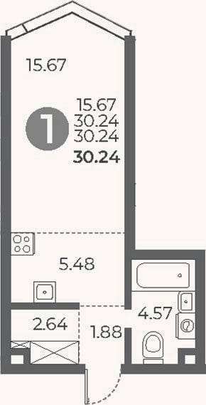 Планировка: Студия, 30,2 м²