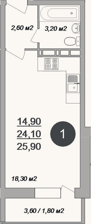 Планировка: Студия, 24,1 м²