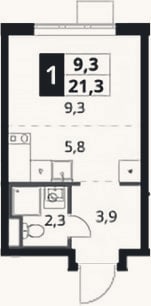Планировка: Студия, 21,3 м²