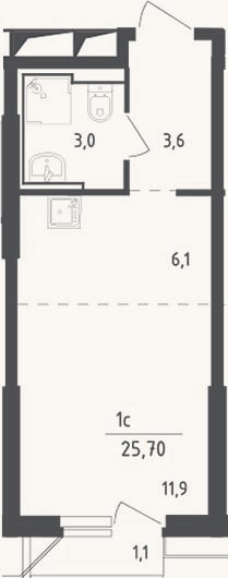 Планировка: Студия, 24,6 м²