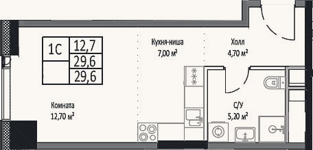 Планировка: Студия, 29,6 м²