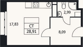 Планировка: Студия, 28,9 м²
