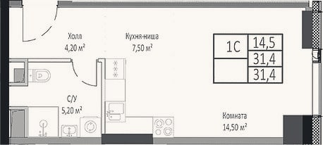 Планировка: Студия, 31,4 м²
