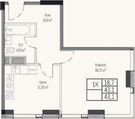Планировка: 1-к, 43,1 м²