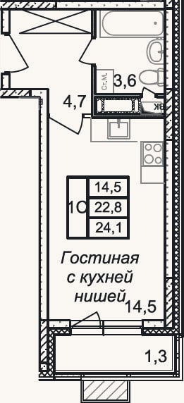 Планировка: Студия, 22,8 м²