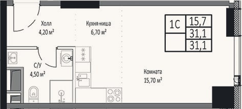 Планировка: Студия, 31,1 м²