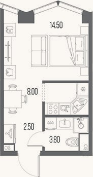 Планировка: Студия, 28,8 м²