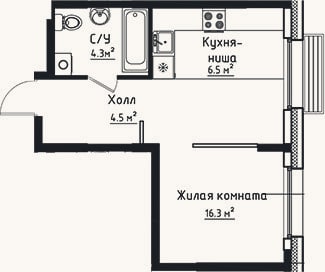 Планировка: Студия, 31,6 м²