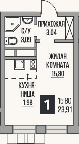 Планировка: Студия, 23,9 м²