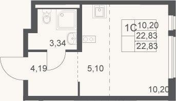 Планировка: Студия, 22,8 м²