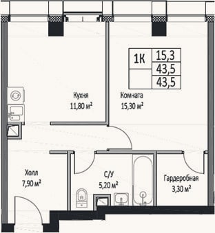 Планировка: 1-к, 43,5 м²
