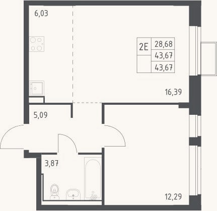 Планировка: 2-к, 43,7 м²