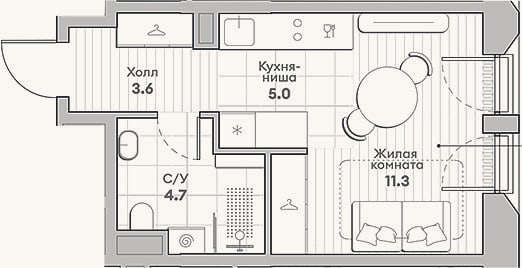 Планировка: Студия, 24,6 м²