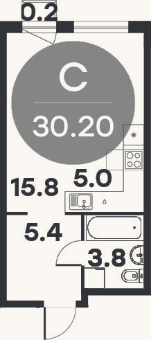 Планировка: Студия, 30,1 м²
