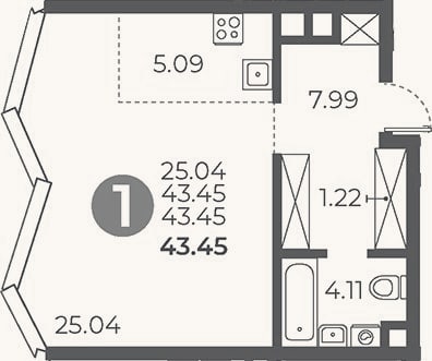 Планировка: Студия, 43,5 м²