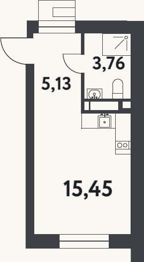 Планировка: Студия, 24,3 м²
