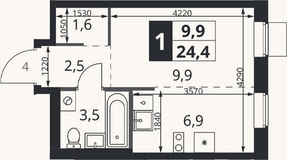 Планировка: Студия, 24,4 м²