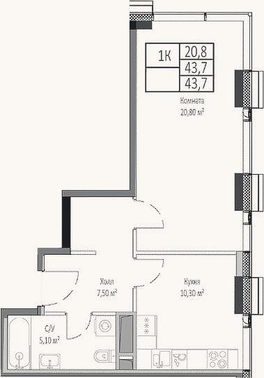 Планировка: 1-к, 43,7 м²