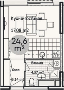 Планировка: Студия, 24,6 м²