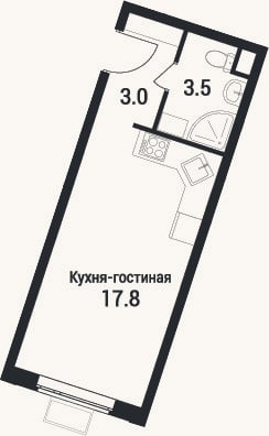 Планировка: Студия, 24,3 м²
