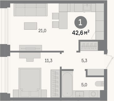 Планировка: 1-к, 42,6 м²