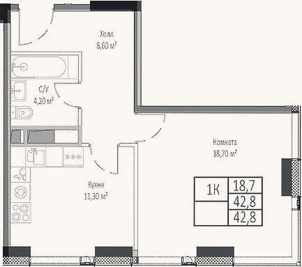 Планировка: 1-к, 42,8 м²