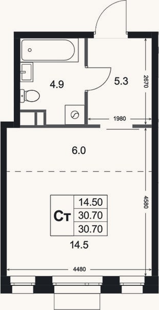 Планировка: Студия, 30,7 м²
