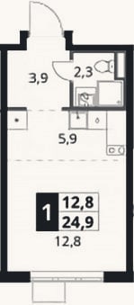 Планировка: Студия, 24,9 м²