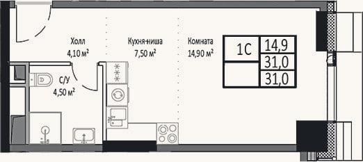 Планировка: Студия, 31 м²