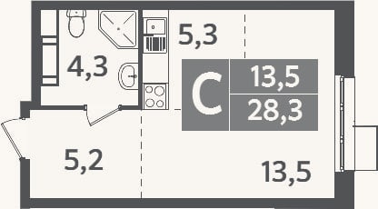Планировка: Студия, 28,3 м²