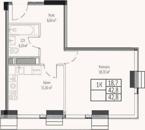 Планировка: 1-к, 42,8 м²