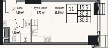 Планировка: Студия, 30,9 м²